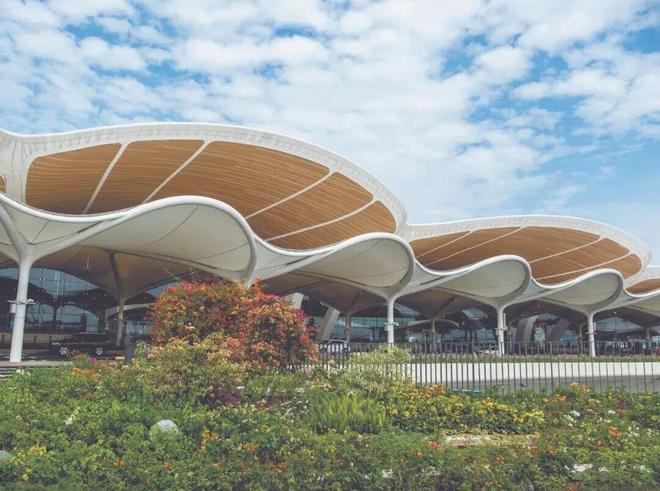 犀利！原来它们都是Made in 肇庆！(图7)