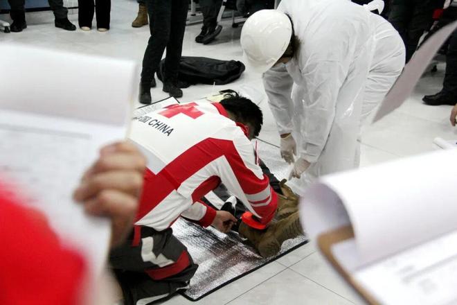 人道之光点亮未来：红十字国际委员会东亚地区代表处年度要事盘点(图8)