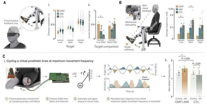 Science正刊：麻省理工学院Hugh Herr 教授成为仿生时代领导者！(图6)
